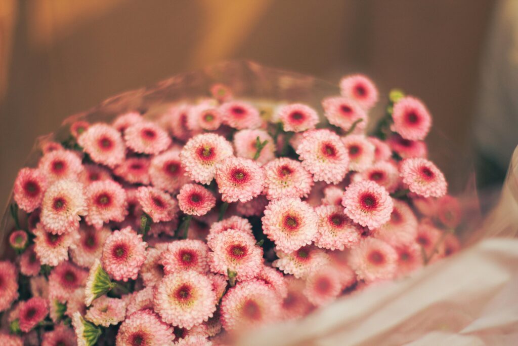 A stunning arrangement of pink chrysanthemums, capturing the beauty and elegance of nature.